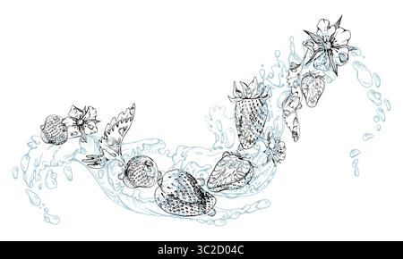 Erdbeere reife Gartenbeeren Blüten im Wasser fliegen, frische Pinienbeere Strasberry Schlangenbeere, feuchte Tau-Tropfen. Isoliert Stock Vektor