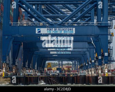 Hafen Felixstowe: Krane laden und entladen Container von Schiffen im Hafen von Felixstowe, dem größten Containerhafen Großbritanniens. Stockfoto