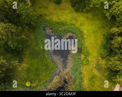 Aus der Vogelperspektive auf einen dunklen, noch immer den Himmel reflektierenden Teich, umgeben von leuchtend grünen Schilf und üppigen Bäumen, eine ruhige Oase, Trakai, Vilnius Land, Litauen. Stockfoto