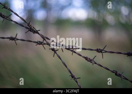 Nahaufnahme von rostigem Stacheldraht mit verschwommenem natürlichem Hintergrund. Stockfoto