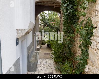 Wunderschöne Gasse in Cres Stadt mit Pflanzen. Stockfoto