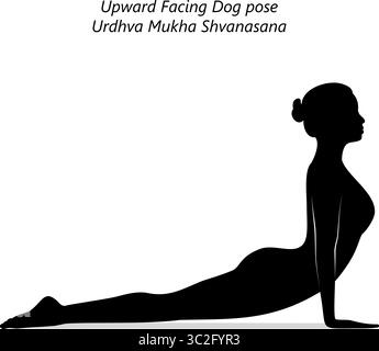 Silhouette einer Frau, die Urdhva Mukha Shvanasana Yoga-Pose praktiziert. Nach oben gerichtete Hunde-Yoga-Pose. Isolierte Vektordarstellung Stock Vektor