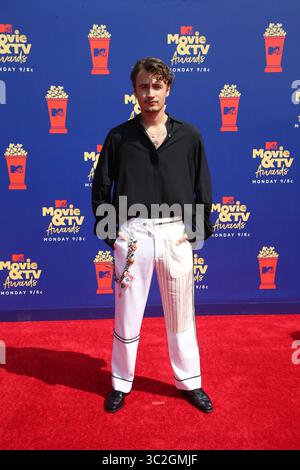 Juni 2019 – La, Vereinigte Staaten von Amerika – Brandon Thomas Lee kommt am 16. Juni 2019 bei den MTV Movie & TV Awards im Barker Hangar in Los Angeles an (Credit Image: © Famous/Ace Pictures via ZUMA Press) Stockfoto