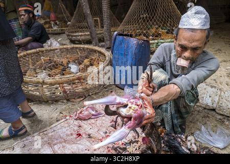 18. Januar 2019 - Dhaka, Bangladesch - auf dem Hühnermarkt in Dhaka. Der Geflügelsektor in Bangladesch wächst jedes Jahr im zweistelligen Bereich. Nach Schätzungen des US-Landwirtschaftsministeriums sind 1 Million Unternehmer und 8 Millionen Menschen im Geflügelsektor der Bangladeshâ tätig. Der Sektor wird stark industrialisiert, doch nach wie vor tragen die lokalen Landwirte und Händler zur jährlichen Gesamtproduktion von 10,22 Milliarden Eiern und 1,46 Millionen Tonnen Geflügelfleisch bei. (Bild: © Robert Pastryk/ZUMA Wire) Stockfoto