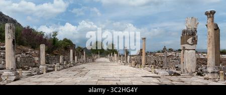 Panoramablick auf die alte Arkadische Straße, gesäumt von ruinierten Säulen und Strukturen, an der archäologischen Stätte von Ephesus, Türkei, unter einem bewölkten Himmel Stockfoto
