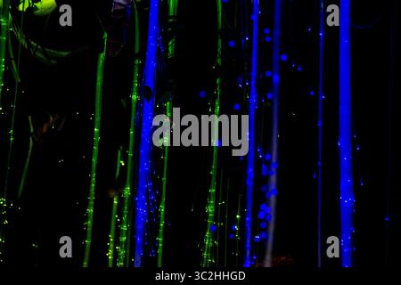 Grüne und blaue LWL-Lichter, die verwendet werden, um Unterwasser zu imitieren Stockfoto