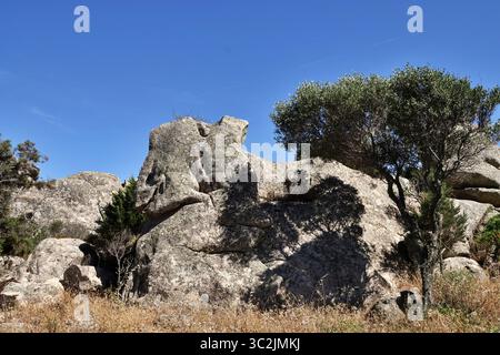 Rosa Granitfelsen in der Nähe von Palau, Gallura, Costa Smeralda, Sardinien, Italien Stockfoto