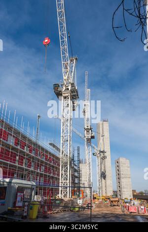 Zahlreiche Kräne waren am Bau neuer Hochhäuser in Bordesley in der Nähe des Stadtzentrums von Birmingham beteiligt Stockfoto