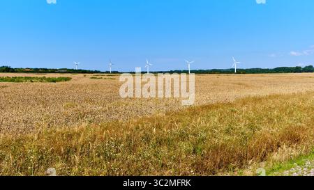 Kleiner Windpark an der mecklenburgischen Küste mit zwei Offline-Turbinen, umgeben von gereiften Weizenfeldern unter klarem blauem Himmel. Stockfoto