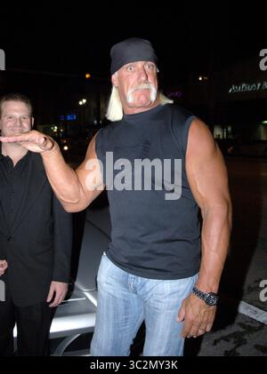 SMG Hogans Divorce 112407 12 ALLE IMAAGES AUFGENOMMEN 2004-2007: TMZ hat ein Dokument von der Website des Pinellas County Court erhalten, das besagt, dass Hulk Hogans Ehefrau die Scheidung beantragt hat. Laut dem Dokument beantragte Linda Marie Bollea am Dienstag, den 20. November, die Scheidung gegen Terry Gene Bollea (der legale Name der Hulk). In dem Dokument, das wir haben, ist der Grund für die Scheidung nicht angegeben. Die Nachrichten erschienen erstmals auf WTVT, der FOX-Tochtergesellschaft in Tampa Bay, Fla. Ihr Sohn Nick Hogan hat im August letzten Jahres seine Supra abgestürzt, und sein Passagier/guter Freund bleibt Stockfoto