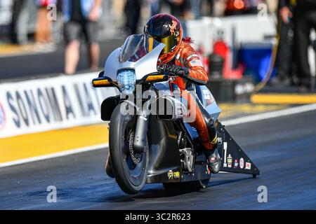 26. Juli 2019: Angele Sampey verlässt die Strecke in Runde zwei des Pro Bike Battle auf ihrer Harley Davidson während der NHRA Sonoma Nationals auf dem Sonoma Raceway in Sonoma, Kalifornien. Chris Brown/CSM(Kreditbild: &Copy; Chris Brown/CSM via ZUMA Wire) Stockfoto
