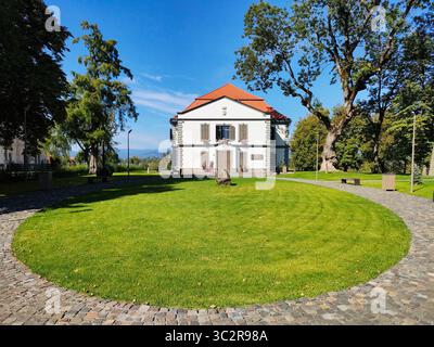 Burg Teleki aus dem Dorf Coltău und Museum Petőfi Sándor, im Kreis Maramureş, Region Siebenbürgen, Rumänien Stockfoto