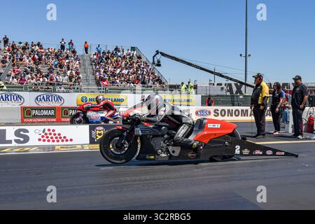 27. Juli 2019: Eddie Krawiec bringt sein Harley Davidson Pro-Stock Drag Bike auf den NHRA Sonoma Nationals auf dem Sonoma Raceway in Sonoma, Kalifornien, auf den Markt. Chris Brown/CSM(Kreditbild: &Copy; Chris Brown/CSM via ZUMA Wire) Stockfoto
