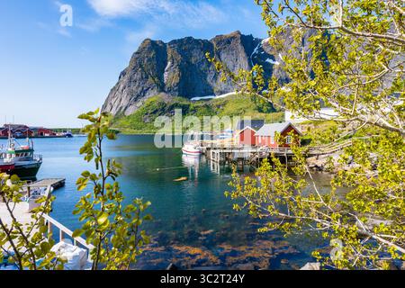 Holzgestelle zum Aufhängen von Kabeljau zum Trocknen vor dem Berg im Dorf Sakrisoy, Lofoten, Norwegen Stockfoto