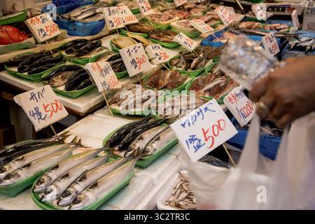 4. August 2019, Tokio, Japan: Ein Blick auf frischen Fisch auf dem Ameya Yokocho Markt (Ameyoko) in Tokio. Entlang der engen Gasse gibt es etwa 500 Geschäfte, die täglich von Zehntausenden von Menschen besucht werden. (Foto: © Takahiro Yoshida/SOPA Bilder via ZUMA Wire) Stockfoto