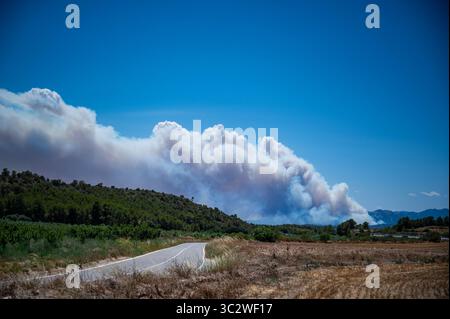 Massiver Wildfeuer-Rauch, der über Wald und Felder aufsteigt Stockfoto