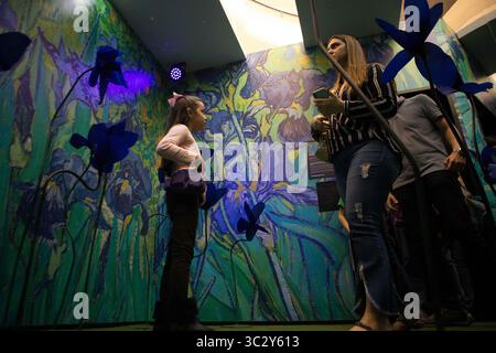 17. August 2019, Sao Paulo, Brasilien: Menschen interagieren in einer immersiven Ausstellung von Vicent Van Goghs Arbeit im Shopping in Sao Paulo (Foto: © Dario Oliveira/ZUMA Wire) Stockfoto