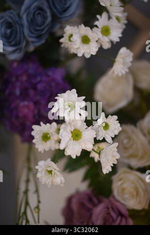 Weiße Gänseblüten, die in einem Blumenstrauß mit violetten, blauen und beigefarbenen Blüten hervorgehoben werden. Wunderschön komponierte Blumendekoration mit farbenfroher Vielfalt Stockfoto