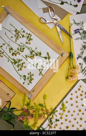 Gepresste Blumen und Blätter auf weißem Papier für botanische Kunstprojekte. Bunte Wildblumen und Grün perfekt zum Basteln, Scrapbooking, o Stockfoto