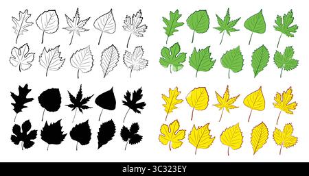 Ein Satz Blätter von verschiedenen Bäumen. Stock Vektor