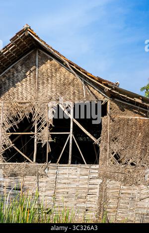 Lager, alt, Bambus, Wand, kaputt, Loch, rustikal, verlassen, Struktur, ländlich, Vintage, Bauen, Holz, Zerfall, gereift, Textur, beschädigt, leer, weinend Stockfoto