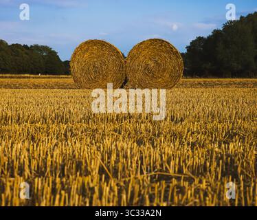 Zwei runde Heuballen auf einem geernteten Feld in der Nähe von Wald – Deutschland, 22. Juli 2025 Stockfoto