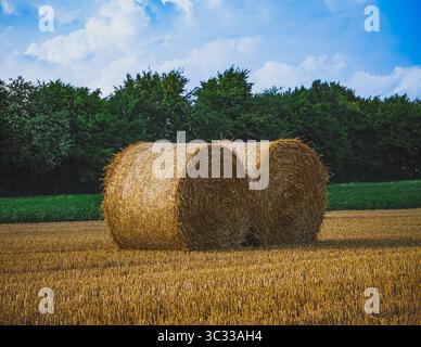 Zwei runde Heuballen auf geerntetem Feld bei Jülich, Deutschland, Juli 2025 Stockfoto