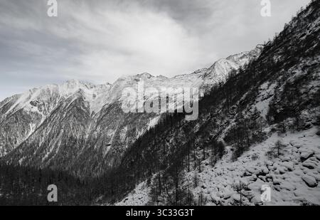 Schwarze und weiße Winterlandschaft Stockfoto