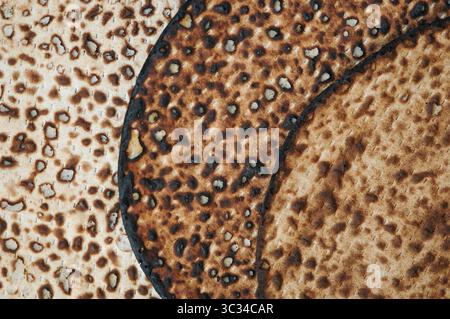 Abstrakte Nahaufnahme eines Blattes Matza, ungesäuertes Brot, das von Juden während des Paschatzes gegessen wurde. Stockfoto