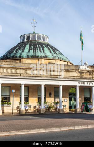 Das Ivy Montpellier Brasserie Restaurant in Montpellier Rotunda, Cheltenham, Gloucestershire, England Großbritannien Stockfoto