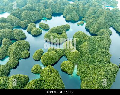 Aus der Vogelperspektive erheben sich grüne Inseln, ein Juwel-farbener Wandteppich von natürlicher Schönheit. Siargao Island, Caraga, Philippinen. Stockfoto