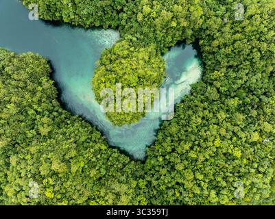 Aus der Vogelperspektive auf eine üppig grüne Insel, umgeben von türkisfarbenem Wasser, ein lebendiges Juwel inmitten des dichten Laubs, Siargao Island, Caraga, Philippinen. Stockfoto