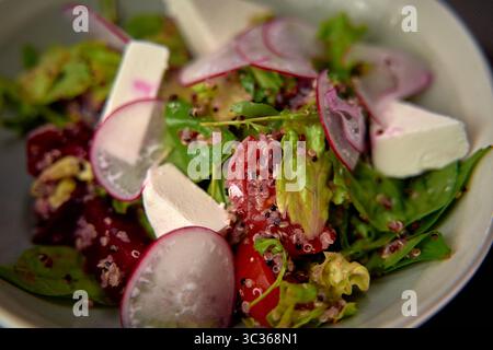 Ein frischer und farbenfroher Salat mit gemischtem Gemüse, Kirschtomaten, Radieschen, Quinoa und cremigem Käse in einer wunderschönen Schüssel Stockfoto