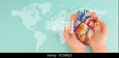 Herzinfarkt, Myokarditis-Krankheit, Entzündung Des Muskels, Thrombose Und Herzstress, Hände, Die Menschliches Organ Halten Stockfoto