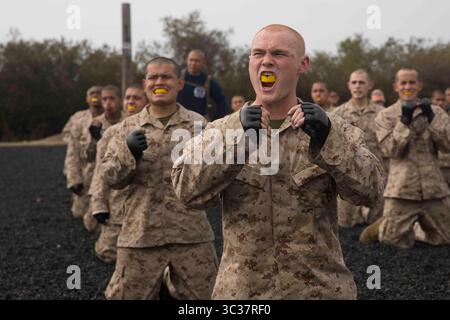 April 2021: Marine Corps Recruit Depot San D, Kalifornien, USA - RCT. Wade G. Huddleston mit Mike Company, 3rd Recruit Training Battalion, führt am 12. April 2021 einen Break Fall während eines Martial Arts Trainings im Marine Corps Recruit Depot in San Diego durch. Rekruten wurden angewiesen, die verschiedenen Techniken Schritt für Schritt auszuführen, um sicherzustellen, dass sie korrekt durchgeführt wurden. Rct. Huddleston stammt aus Bismarck, Illinois, er wurde aus RS Indianapolis rekrutiert. (Kreditbild: © Brooke Woods/U.S. Marines/ZUMA Wire/ZUMAPRESS.com) Stockfoto