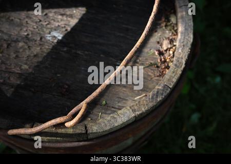 Nahaufnahme eines alten Holzfasses mit rostigem Metallband und natürlichen Texturen, die eine rustikale Ästhetik schaffen. Stockfoto