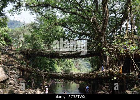 19. April 2021: Touristen besuchen am 19. April 2021 in Meghalaya, Indien, die Doppeldecker lebende Wurzelbrücke während der COVID-19-Coronavirus-Pandemie im Dorf Nongriat. Die lebenden Wurzelbrücken, die von den Mitgliedern des Khasi-Stammes geschaffen wurden, die sie aus Gummibäumen gezüchtet haben, sind in der Region heimisch. Die Doppelstockbrücke ist die berühmteste in der Nähe von Sohra. (Bild: © David Talukdar/ZUMA Wire) Stockfoto