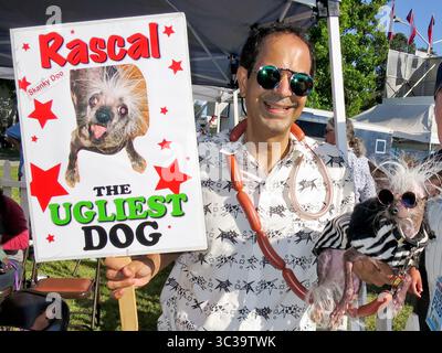 21. Juni 2019 - Petaluma, Kalifornien, USA - Stars der neuen Netflix-TV-Reality-Show über die Agentur, Pets on Q, „PET STARS“ Show Gäste, Schauspieler, DANE ANDREW & „RASCAL DER HÄSSLICHSTE HUND“, der ein Rekord ist 8-mal hässlichste Hund Champion und 2-mal aktueller Hässlichen Hund Champion verschiedener Hässlichen Hund Wettbewerbe, nahmen am World's hässlichsten Hund Contest der Welt während der Sonoma Marin Messe auf dem Messegelände Teil. Rascal der hässlichste Hund und sein Schauspieler, Master, Dane Andrew, der im 43. Jahr bei dem Wettbewerb in seinem Rekord steht, wurden in America's Got Talent Extreme Edition, zahlreichen TV- und Print-Programmen und in s gesehen Stockfoto
