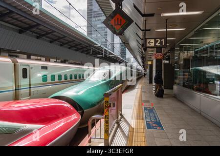 Tokio, Japan - 15. Januar 2025 Shinkansen Hochgeschwindigkeitszug parkt im Bahnhof. Stockfoto
