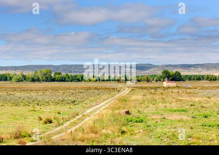 Ruhige Landschaft mit einem unbefestigten Pfad, der zu wolkenbedeckten Gipfeln über grüne Wiesen führt Stockfoto