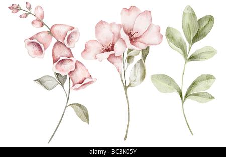 Handgemalte Aquarellblumen Clipart in rosafarbenen Tönen mit grünen Blättern, einschließlich Fingerhut und sanften Blüten isoliert auf weiß. Ideal für Gewebe, mit Stockfoto