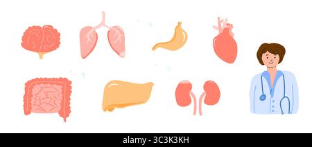 Handgezeichnete Illustrationen Set von Arzt oder Praktikant mit menschlichen Organen - Leber, Gehirn, Herz, Magen, Nieren, und Darm. Behandlungskonzept, anat Stock Vektor
