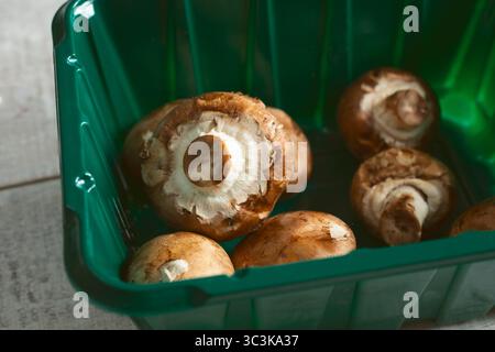 Ein Blick auf Kriminalpilze in einem Plastikbehälter. Stockfoto