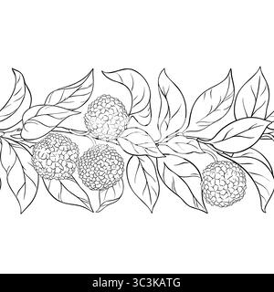 Horizontales Nahtloses Muster Der Kalodendrum-Kontur. Stock Vektor