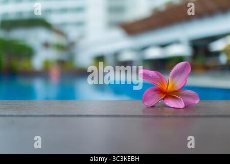 Tropische Blume mit Wassertropfen Stockfoto