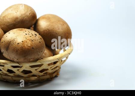 Nahaufnahme reifer, königsbrauner Pilze, die einen kleinen Korb überschwemmen, vor einem sauberen weißen Hintergrund Stockfoto