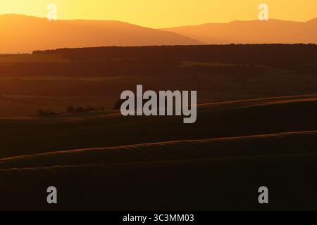 Eine atemberaubende Landschaft, die das magische Licht des Sonnenaufgangs über ausgedehnten Feldern einfängt. Die lebendigen Töne des Himmels verschmelzen mit den goldenen Tönen des Stockfoto