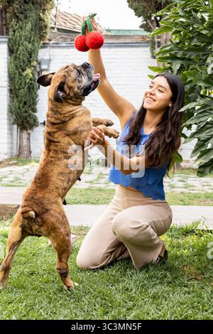 Die lächelnde Frau spielt mit ihrem adoptierten Hund in einem üppigen Garten und hält ein Spielzeug hoch über dem Kopf des Hundes. Die fröhliche Szene fängt ihre spielerische Verbundenheit ein Stockfoto