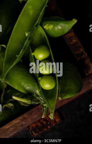 Nahaufnahme von grünen Erbsen in ihrer Schote, die die frische und natürliche Textur hervorhebt. Ideal für kulinarische und landwirtschaftliche Themen, dieses Foto Stockfoto