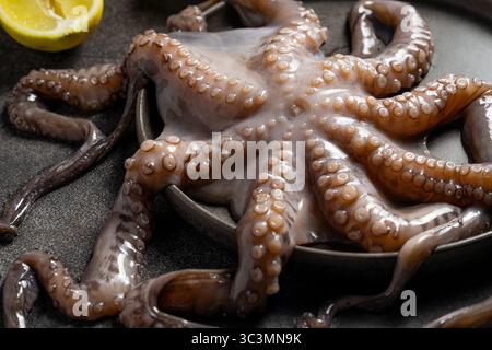 Frischer Tintenfisch auf einem dunklen Küchentisch mit halbierter Zitrone, mit Textur und Saugnäpfen. Die Szene betont den Oktopus kulinarisch Stockfoto